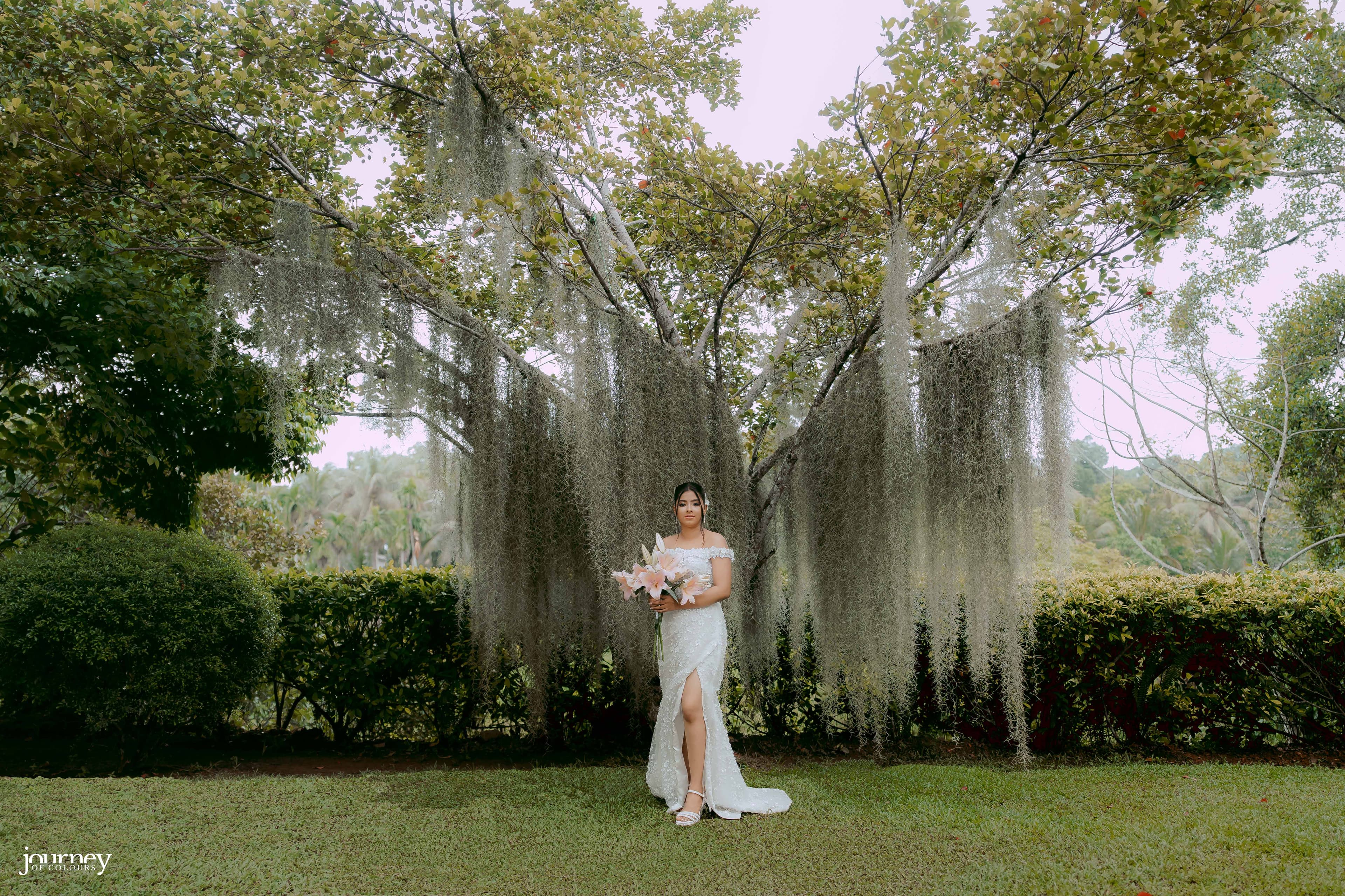 Elegant bridal portrait captured among tropical greenery